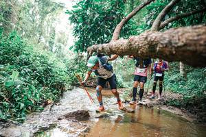 BIB: 
                            <button type="button" onclick="openModal(25375965)" class="btn btn-primary btn-sm float-right btn-popup" data-toggle="modal" data-target=".modal-high-quality">
                        <i class="fas fa-shopping-cart"></i> Add to Cart
                    </button>
                                            <button type="button" onclick="isThisMe(25375965, true)" class="btn btn-success btn-sm float-right btn-popup btn-isme hidden" data-toggle="tooltip" data-placement="bottom" title="นี่คือรูปของคุณใช่ไหม คลิกที่นี่เพื่อเอาเข้าอัลบั้ม">
                        <i class="fas fa-plus"></i> Add to album
                    </button>
                    <button type="button" onclick="isThisMe(25375965, false)" class="btn btn-warning btn-sm float-right btn-popup btn-isnotme hidden">
                        <i class="fas fa-ban"></i> Remove from album
                    </button>